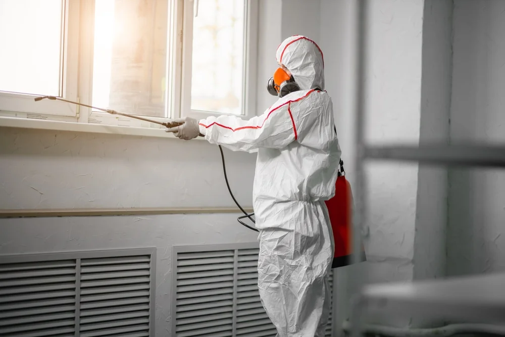 Professional mold remediation services in Wrens, GA
